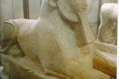 73.Sfinx-van-Hatsjepsoet-Museum-Cairo