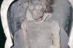 81.-Mummie-Hatsjepsoet-gedentificeerd-augustus-2007