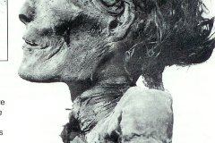 82g.-Mummie-van-Senenmut