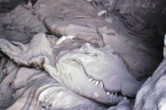 17-Mummie-van-een-krokodil