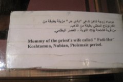 Aswan-museum-007