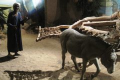 Aswan-museum-211