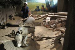 Aswan-museum-212