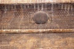 116-Philae
