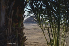 DSC_0276.Vivid_