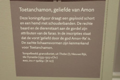 P3020202