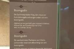 P3020332