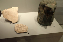 P3020416