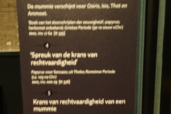 P3020507