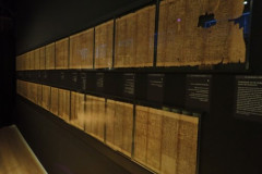 P3020524