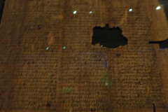 P3020526
