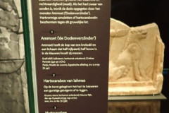 P3020527