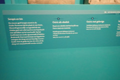 P3020605