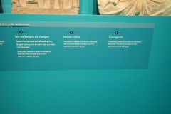 P3020606