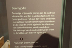 P3020346