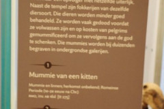 P3020389