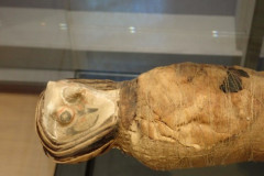 P3020395