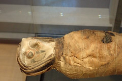 P3020396