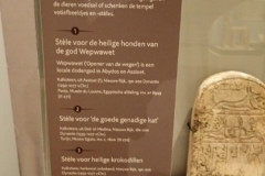 P3020397