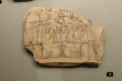 P3020417