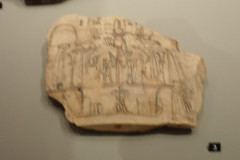 P3020418