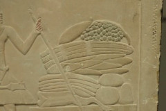 P3020449