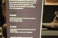 P3020458