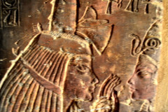 DSC_0009.Vivid_