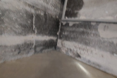 20240208_141530