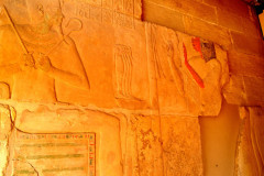 DSC_0270.Vivid_