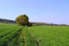 Strasse-der-Megalithkultur-022