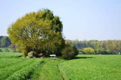 Strasse-der-Megalithkultur-023