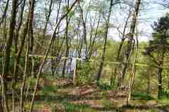 Strasse-der-Megalithkultur-032