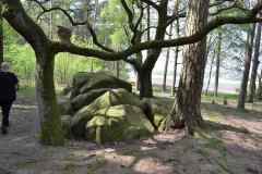Strasse-der-Megalithkultur-049