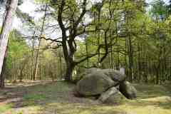 Strasse-der-Megalithkultur-053