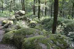 Hunebedden-2014-002