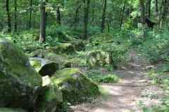 Hunebedden-2014-003
