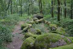 Hunebedden-2014-009