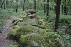 Hunebedden-2014-010