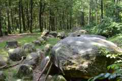 Hunebedden-2014-014