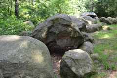 Hunebedden-2014-020