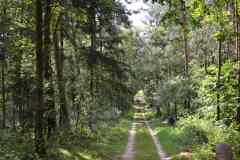 Hunebedden-2014-021