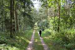 Hunebedden-2014-022