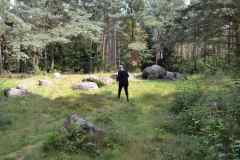 Hunebedden-2014-024