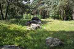 Hunebedden-2014-027