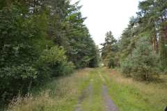 Hunebedden-2014-032