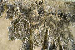 07-Amarna-tombe-5-Senbi-zoon-van-Ukh-Hotep
