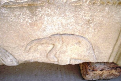 06