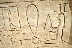 23