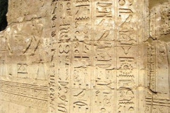 36